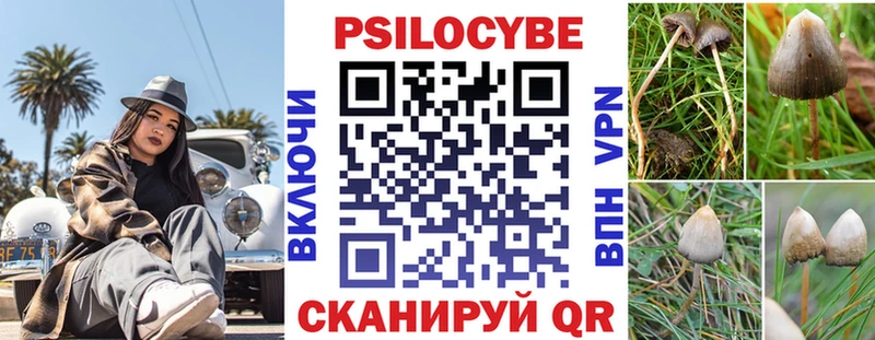 Галлюциногенные грибы Psilocybe  hydra как зайти  Красавино  дарнет шоп 